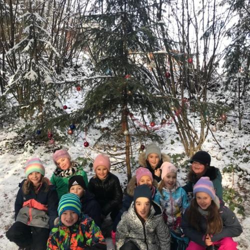 Winterwald