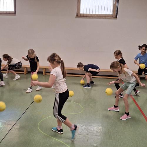 Handball
